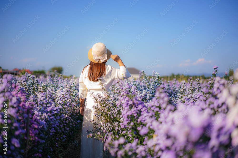 亚洲年轻快乐的旅行者亚洲女人穿着连衣裙在加纳的玛格丽特·阿斯特花田里观光