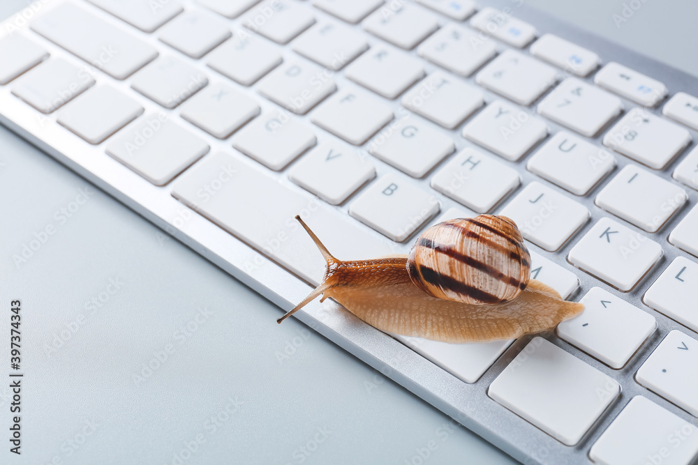 Snail crawling on computer keyboard