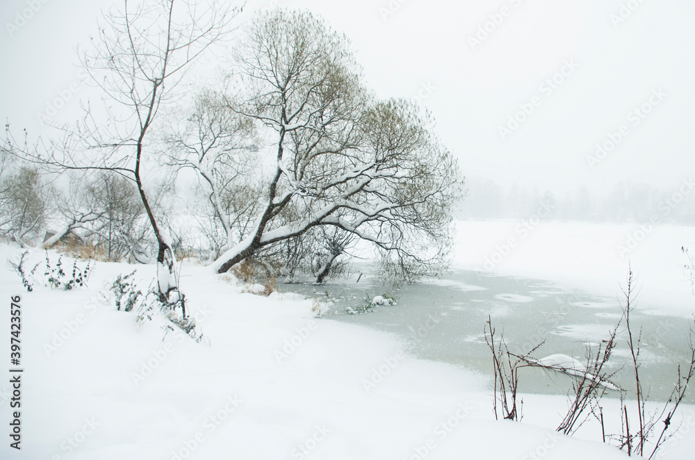 冬季景观。降雪