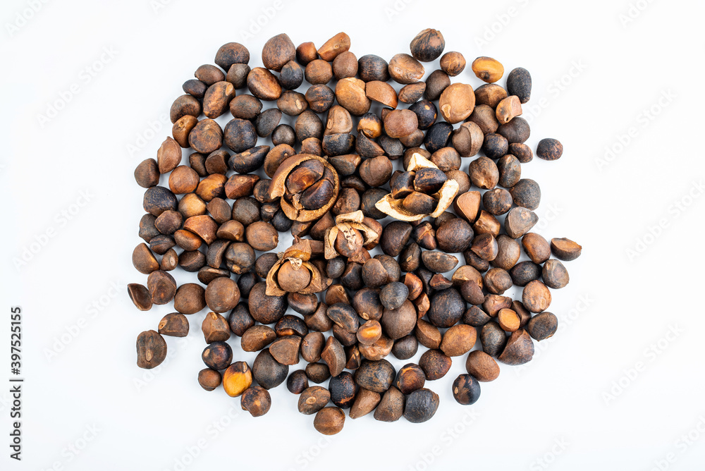 A pile of camellia seeds on white background