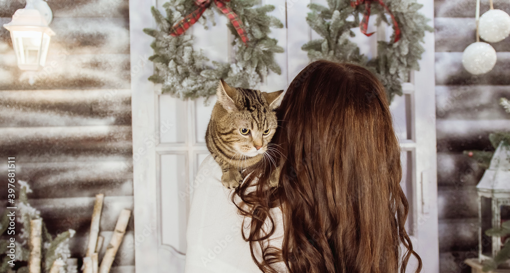 在新年装饰的背景下，美丽的小猫坐在女孩的肩膀上。