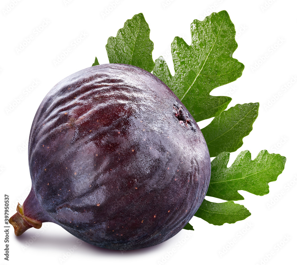 Fig isolated on white background. Fig fruit clipping path. Fig macro studio photo