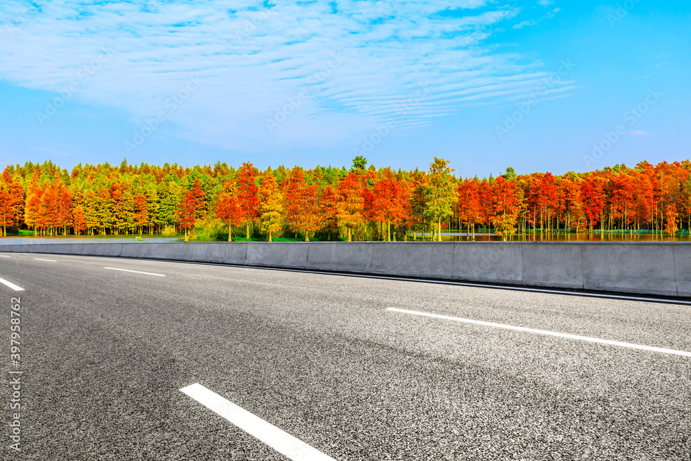 Asphalt road and colorful forest natural landscape in autumn season.