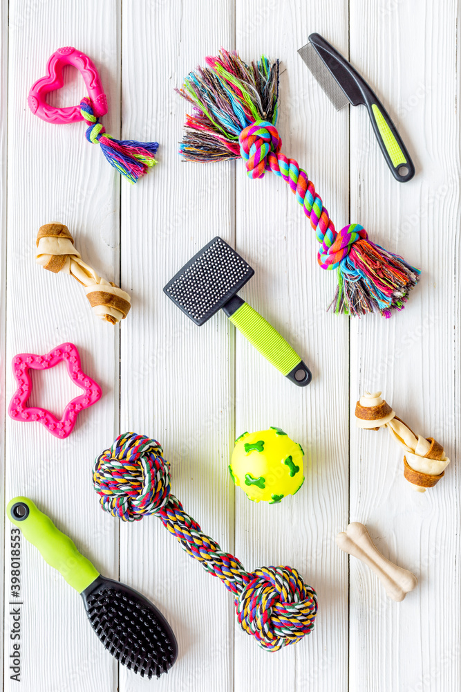 Flat lay with pet toys and accessories for dog and cat