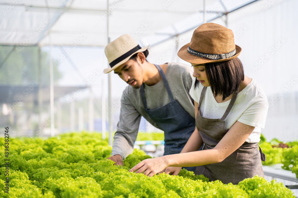 一对亚洲农民在温室里检查蔬菜质量。