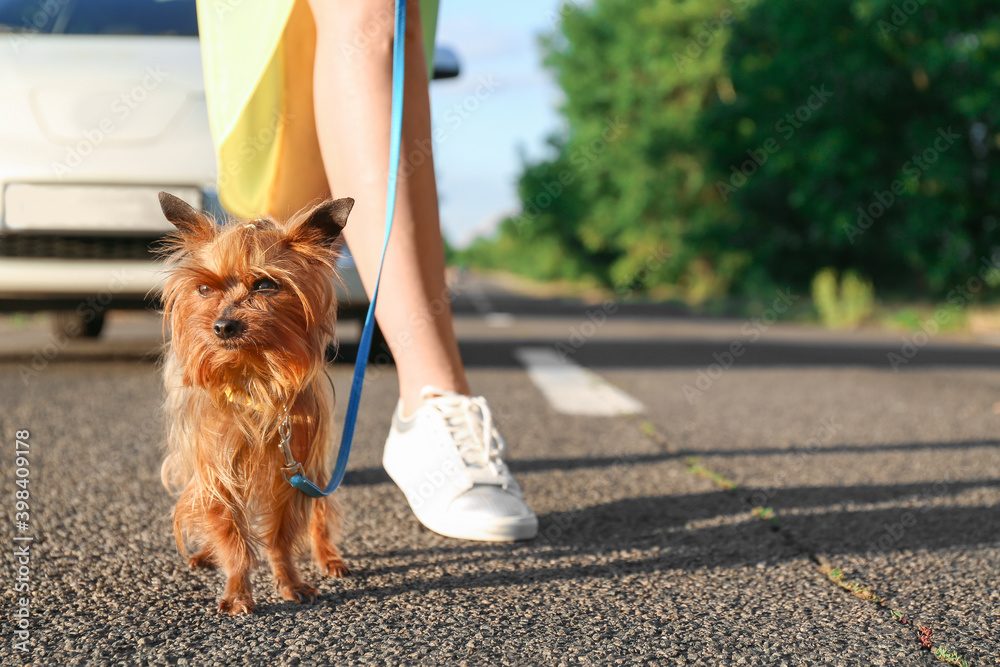 Woman with cute dog on leash near modern car