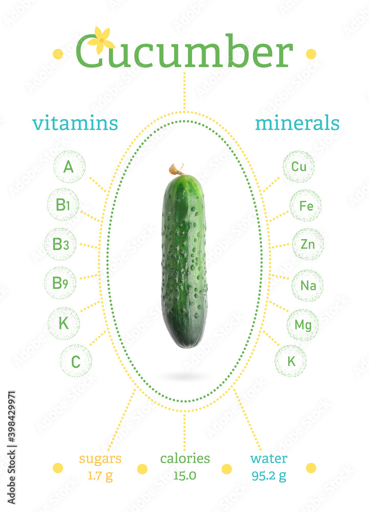 Green cucumber on white background