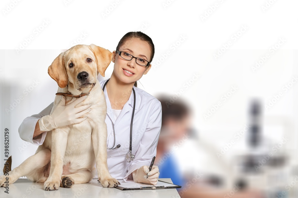 A beautiful young veterinarian with a dog on a hospital background