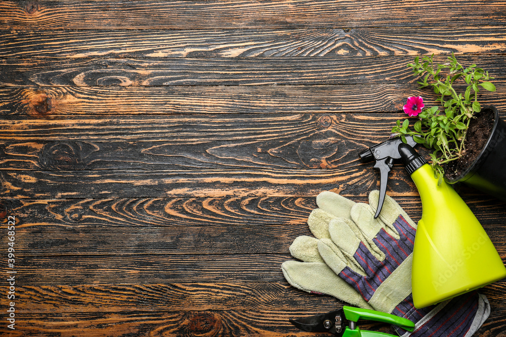 Set of gardening supplies and plant on wooden background