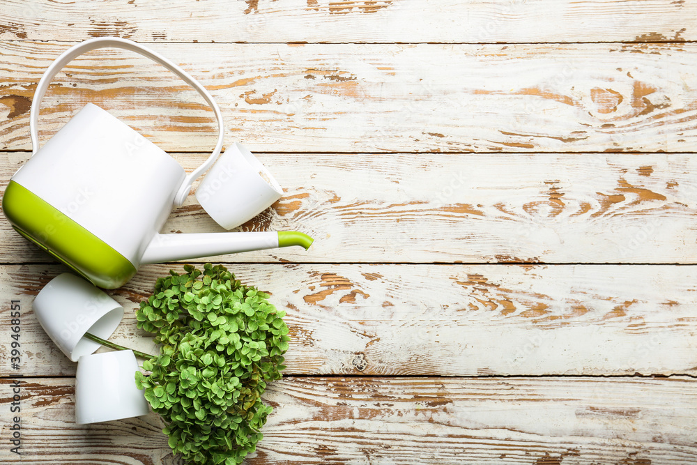 Watering can with plant on wooden background