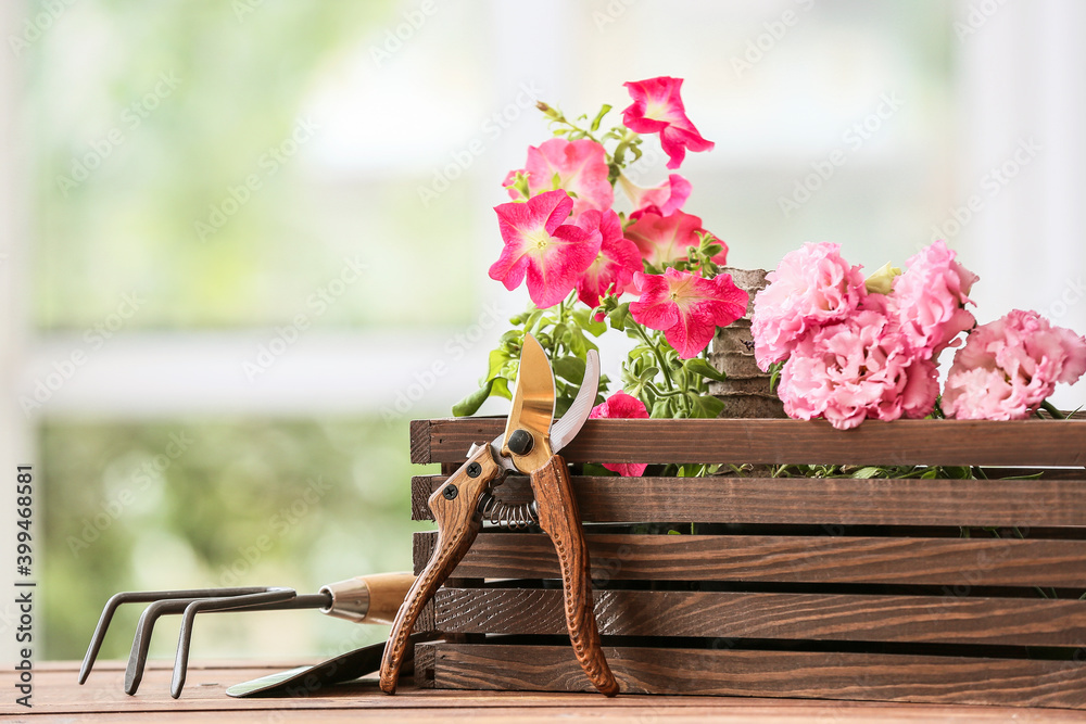 Set of gardening supplies and plant on table