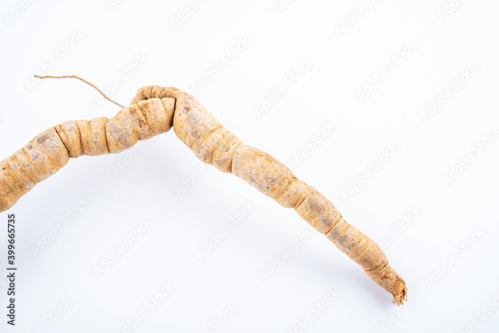 Fresh Chinese herbal medicine Morinda officinalis on white background