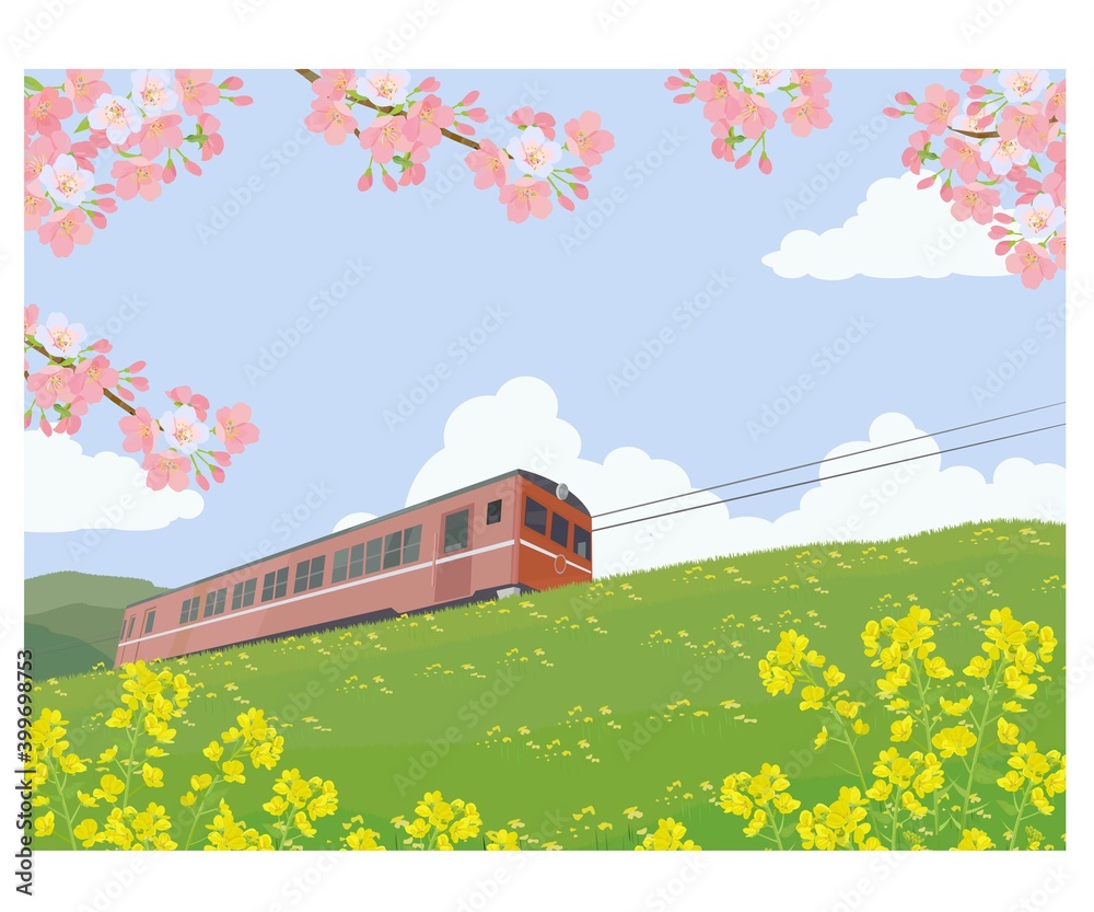 桜と菜の花と電車