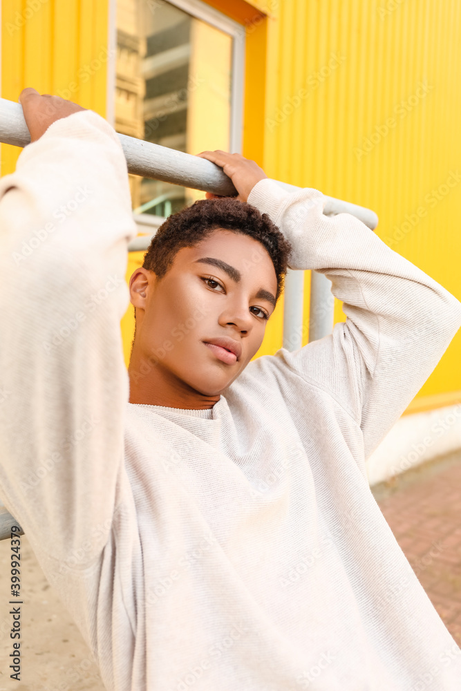 Stylish young African-American man outdoors