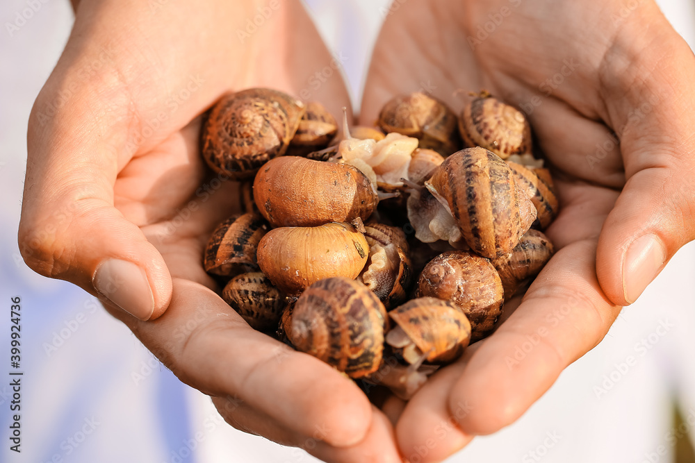 Worker at snail farm, closeup