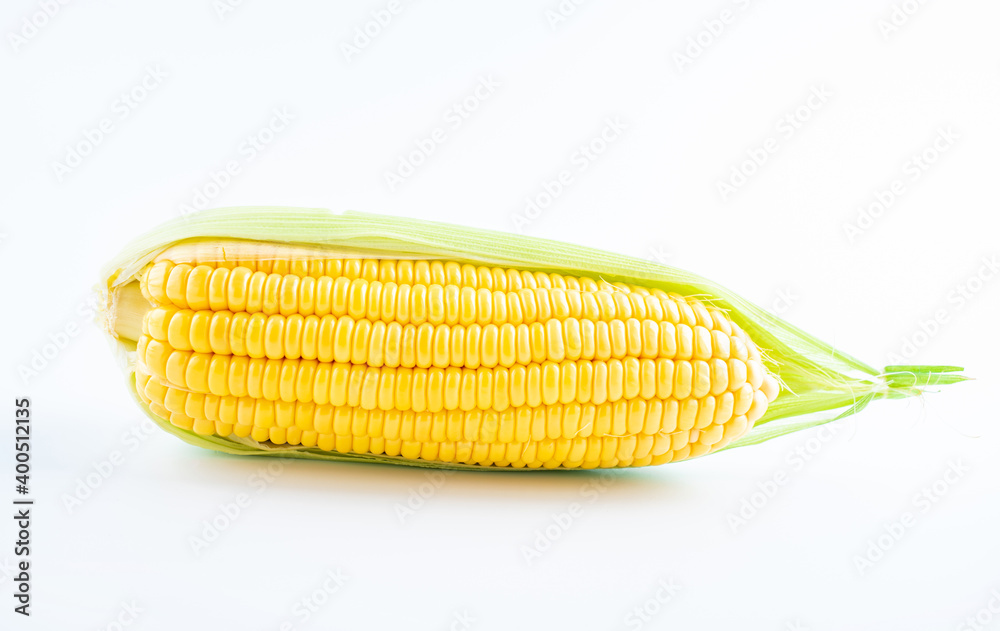 Fresh corn on white background