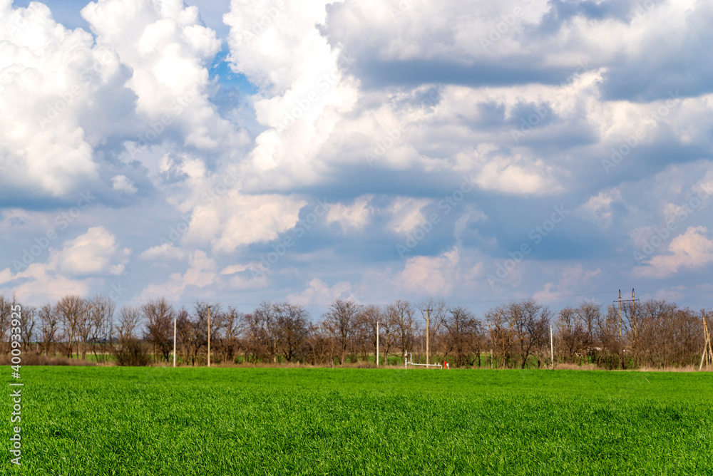 Green field and blue sky with clouds. Rural landscape