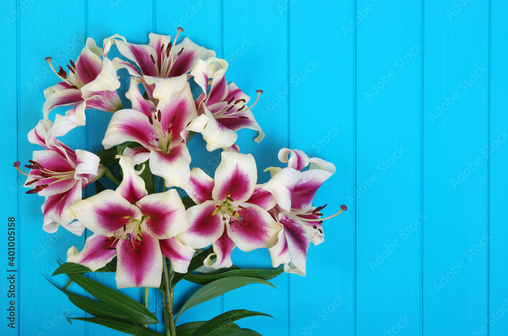  lily flowers on wooden planks