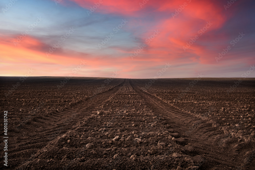 Agriculture field on spring time. Agricultural background