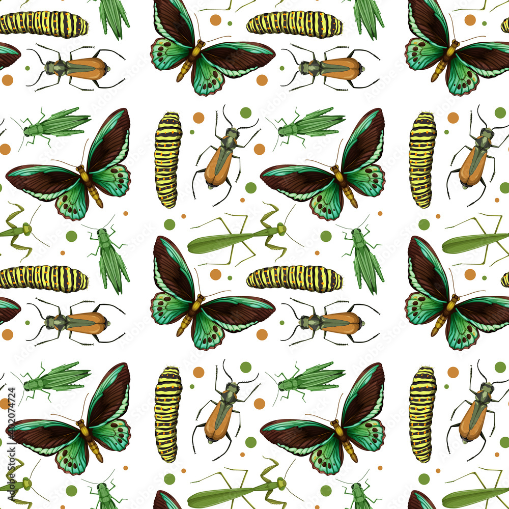 Different insects seamless pattern white background