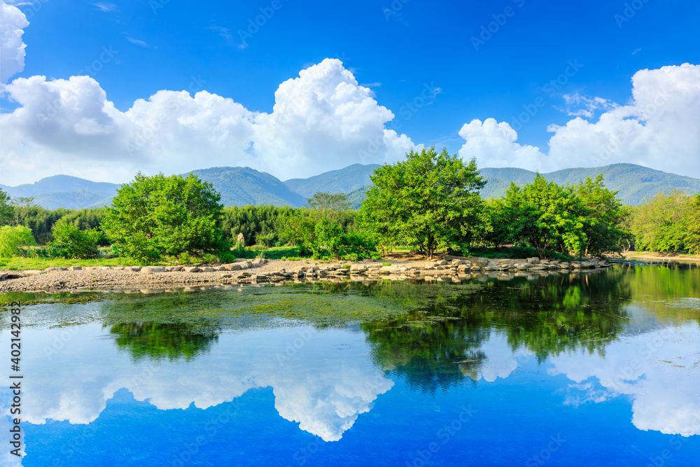 绿色森林和河流与山地自然景观。