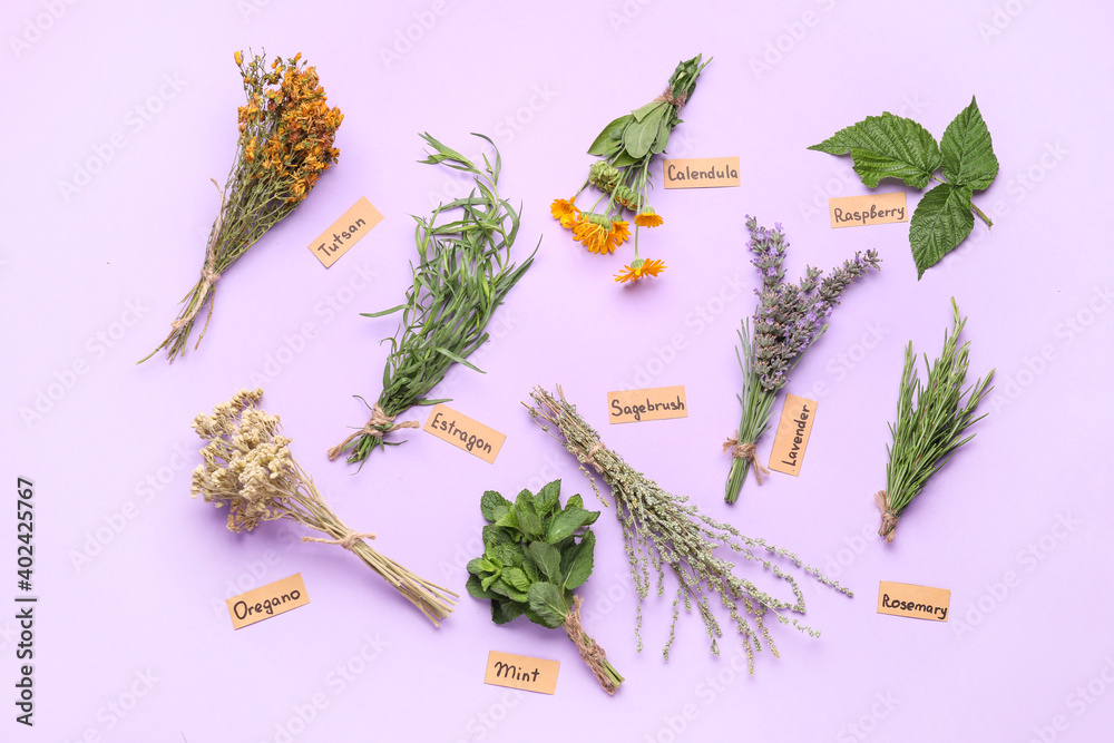 Composition with different herbs on color background