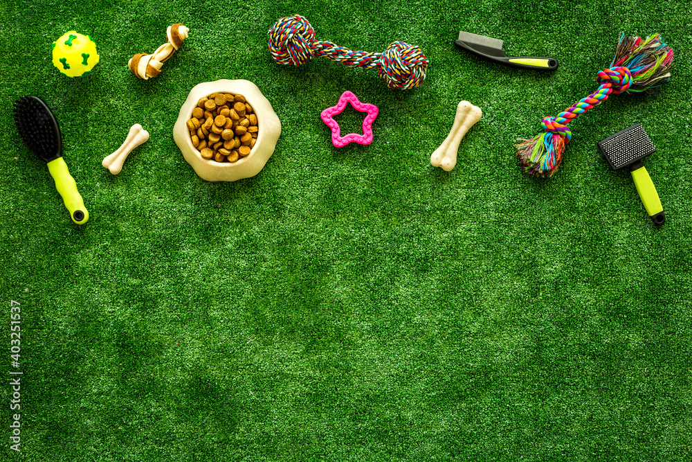 Pet supplies on backyard grass, toys and food for cats and dogs, top view