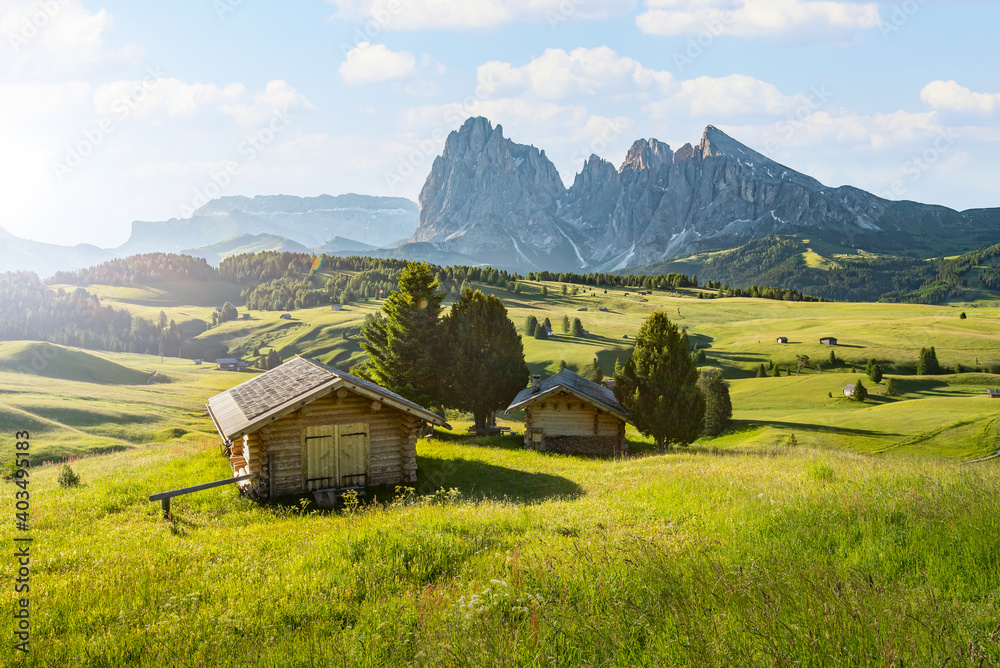 Idyllic chalet in the Alps, Alpe di Siusi, South Tyrol