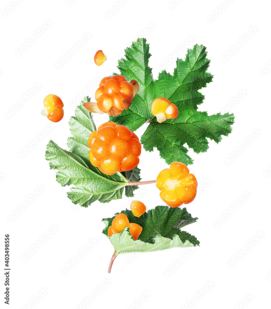 Ripe сloudberry with green leaves closeup, isolated on a white background