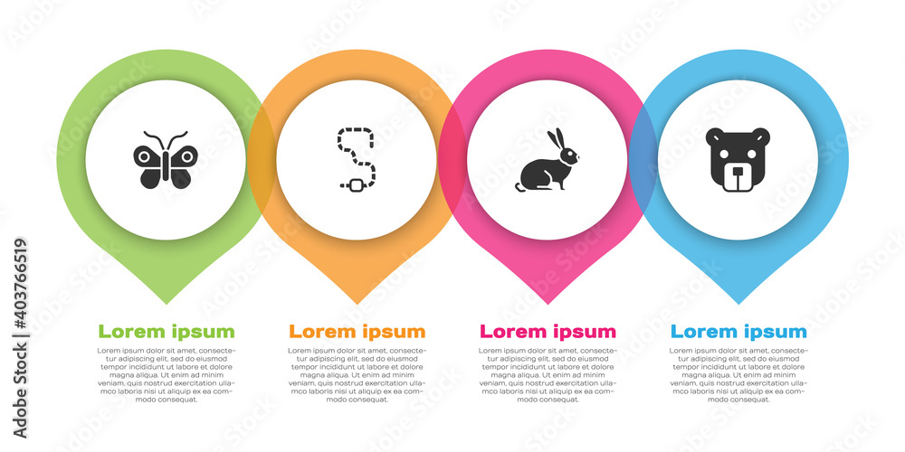 设置蝴蝶、蠕虫、兔子和熊头。商业信息图模板。矢量。