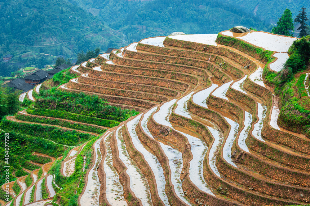 中国桂林瑶山山坡梯田景观