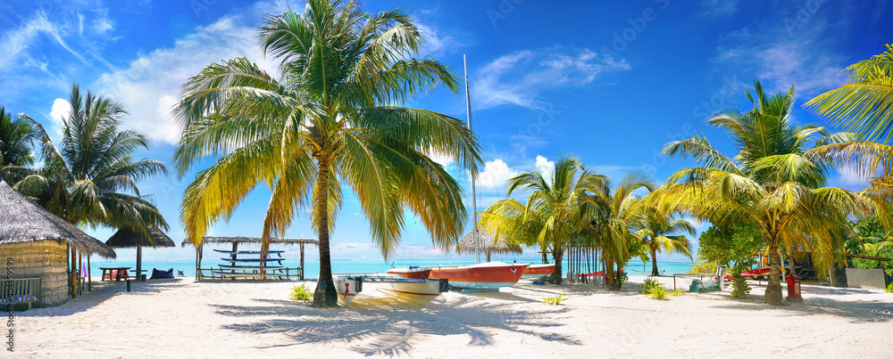 Bright tropical landscape with beautiful palm trees, turquoise ocean and blue sky with clouds. White