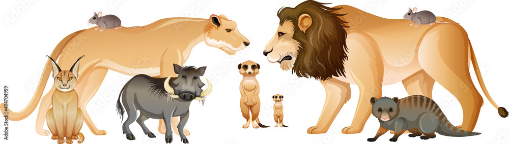 Group of wild african animal on white background