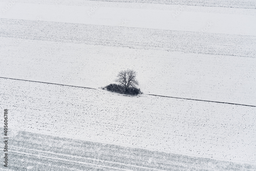 冬日寒冷的早晨，雪地里的孤独树鸟瞰图，无人机pov