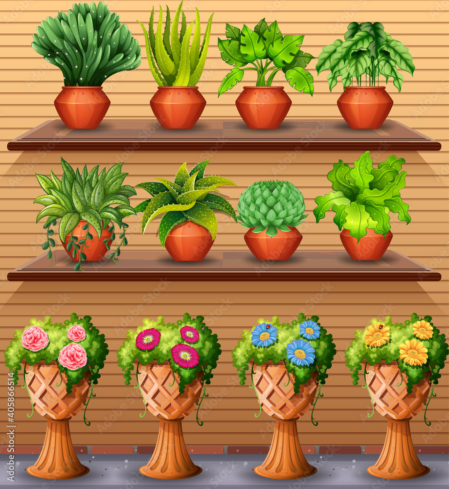 Set of plant on shelves