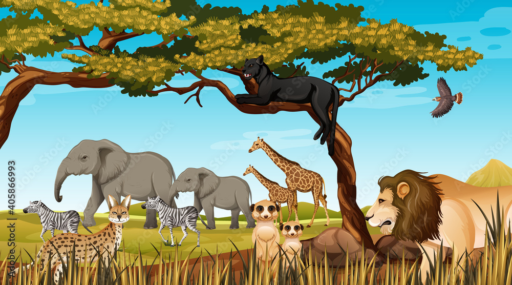 Group of Wild African Animal in the forest scene