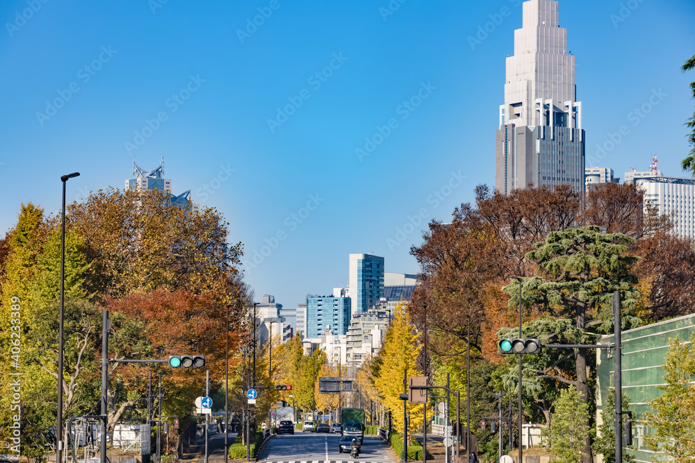 紅葉した街路樹と都会のビル群