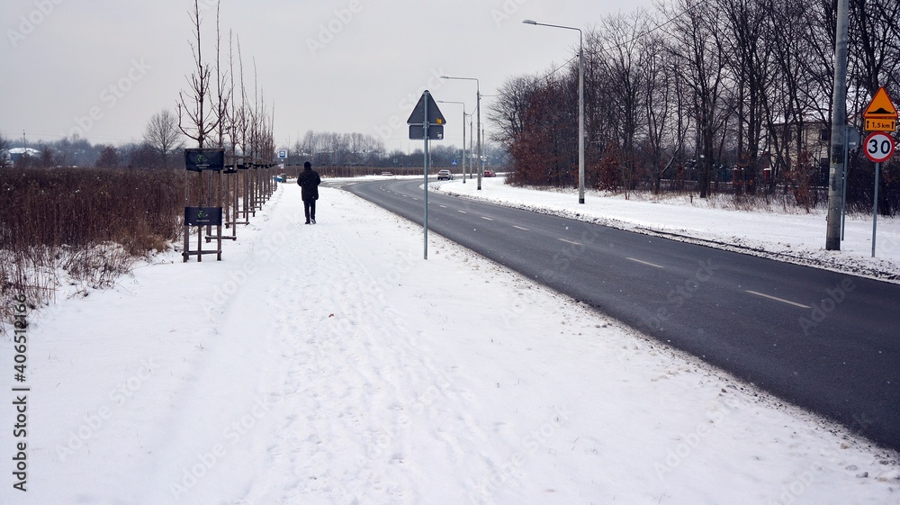 白色暴风雪期间郊区的居民区，道路被雪覆盖。