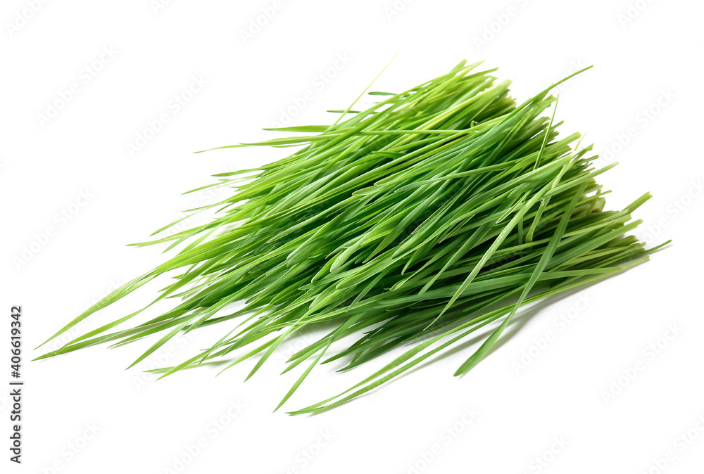 Fresh green wheatgrass on white background