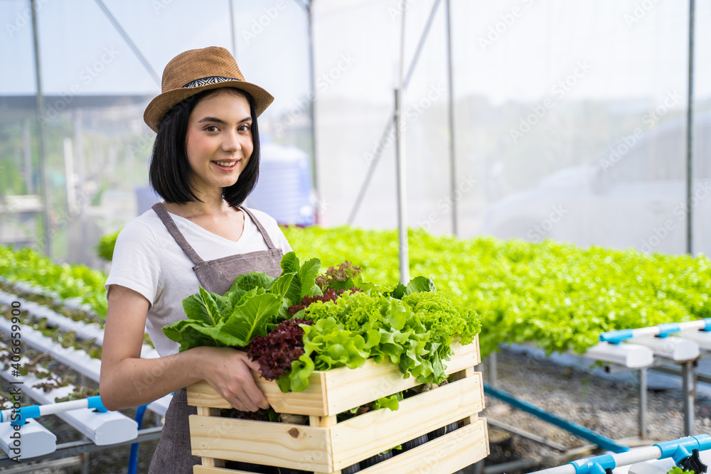 Beautiful female farmer carrying box of vegetables in greenhouse farm.