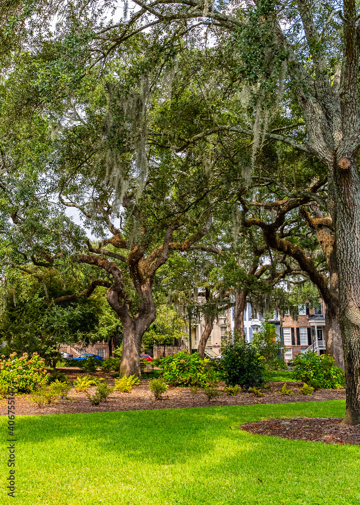 Beautiful park in downtown Savannah, Georgia, USA.