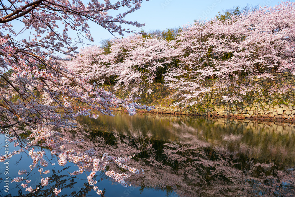 日本近江春日