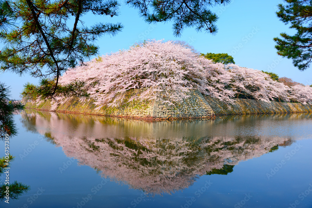 日本近江春日