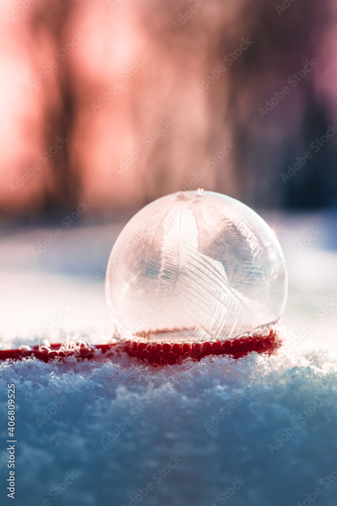 一个冰冻肥皂泡坐在雪地上的宏观。寒冷的冬天实验。温暖的日落色调我