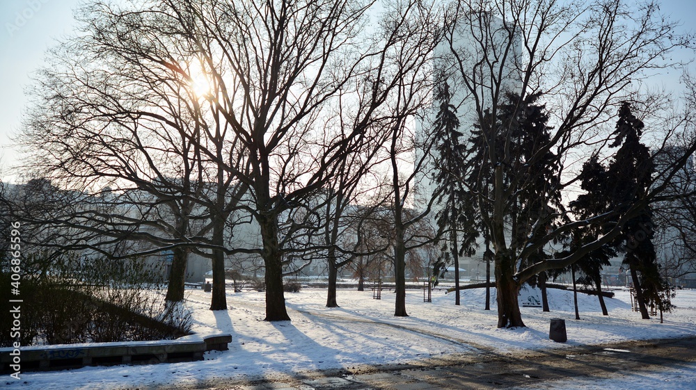 Winter in park in  city centre.