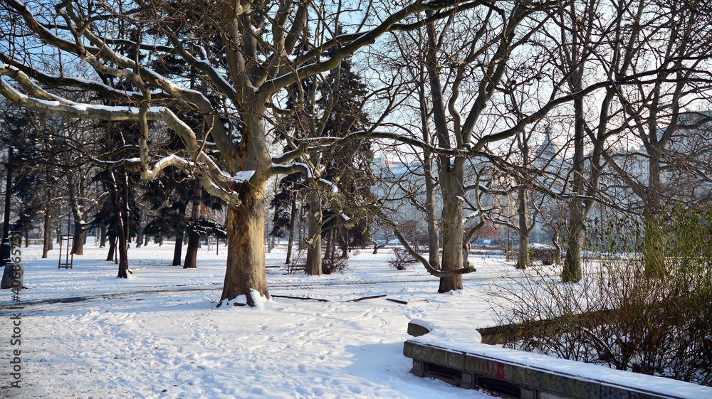 Winter in park in  city centre.