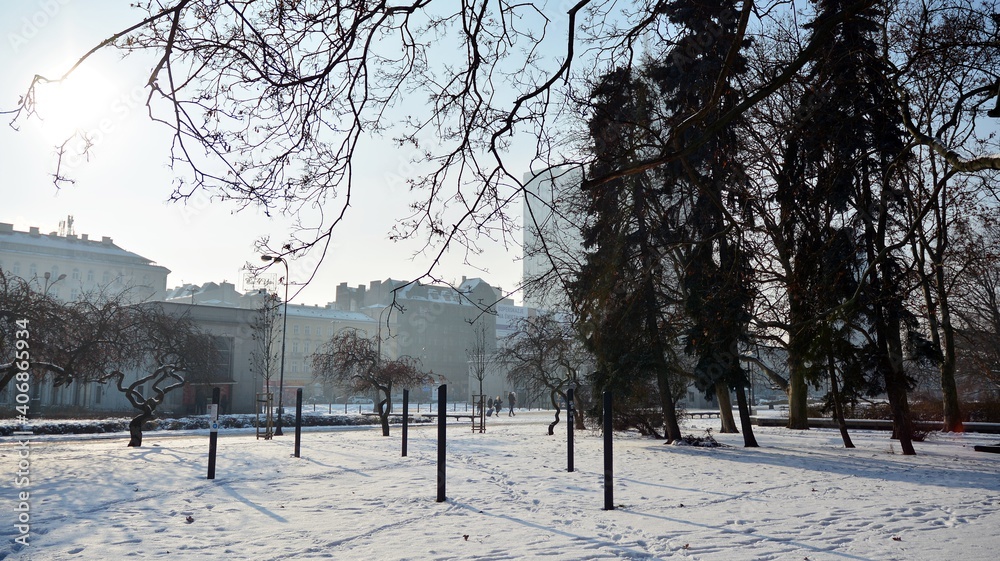 Winter in park in  city centre.