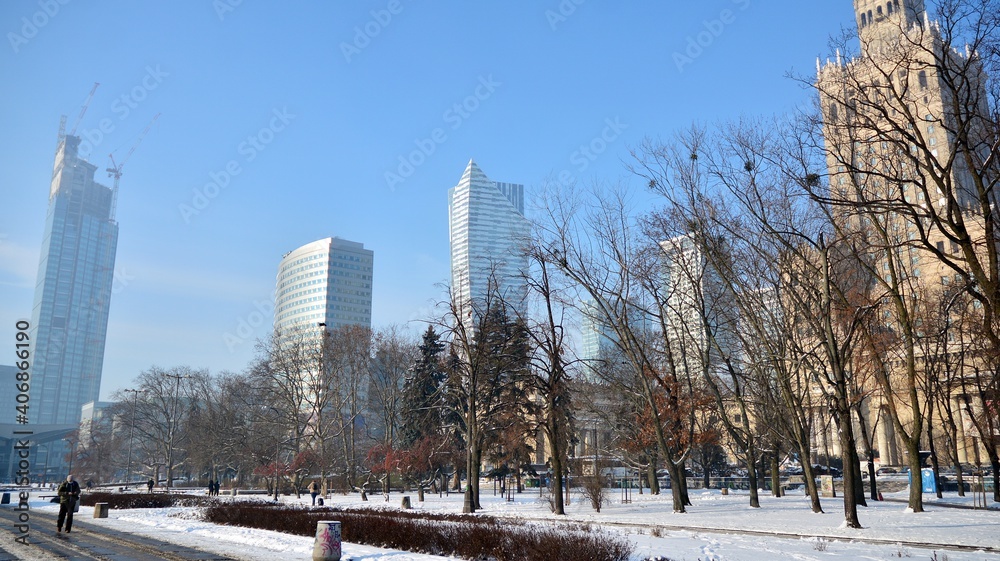 Winter in park in  city centre.