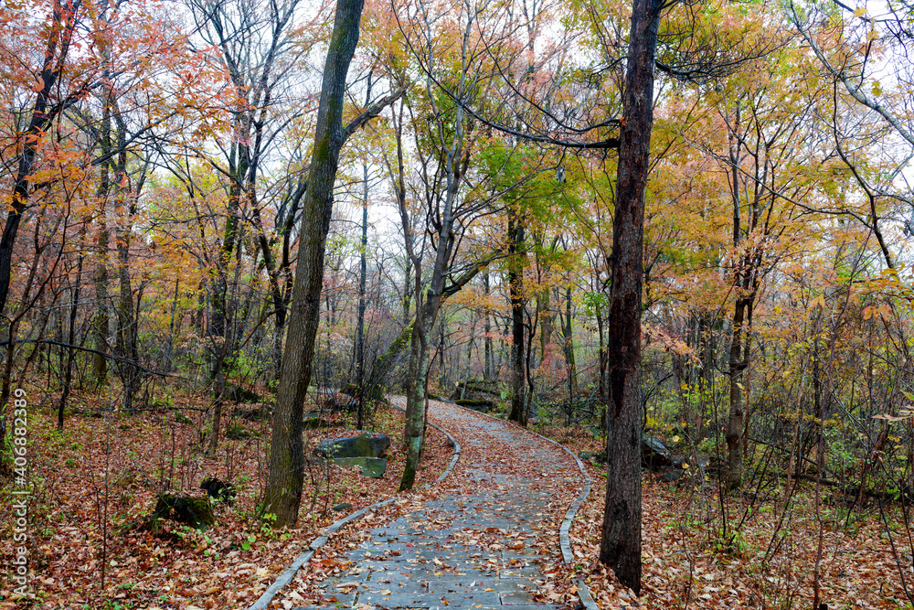 The beautiful autumn landcsape of Jinlong Mountain of Harbin, China.