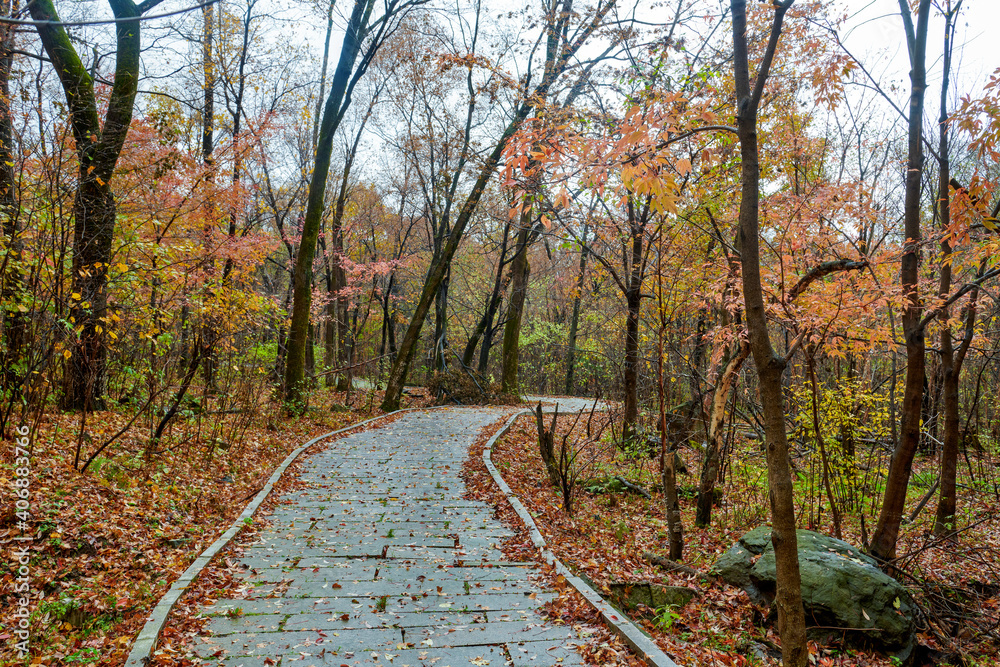 The beautiful autumn landcsape of Jinlong Mountain of Harbin, China.